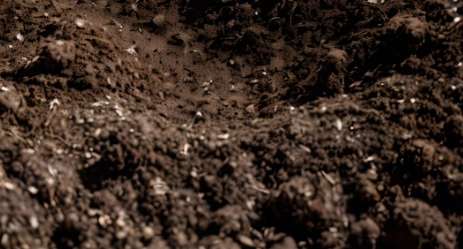 有機土發霉處理 有機土發霉處理