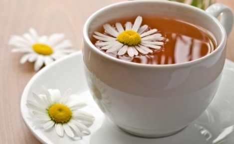 菊花茶过量副作用 菊花茶过量副作用