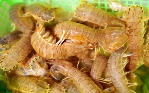 皮皮蝦料理食譜