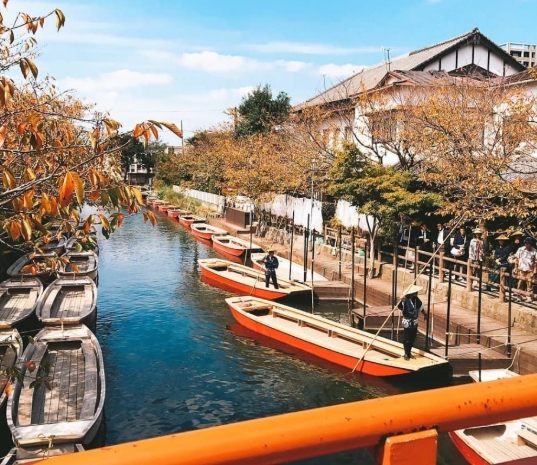 台湾自由行 台湾自由行