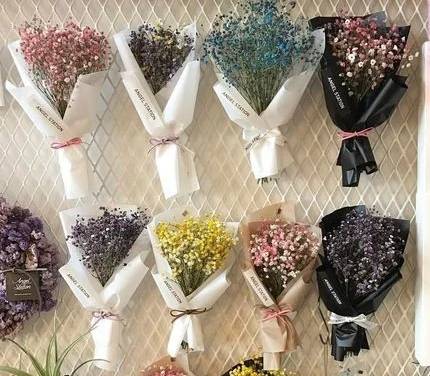 花語含義 花語含義