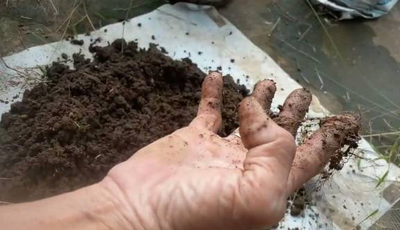 有機肥製作方法