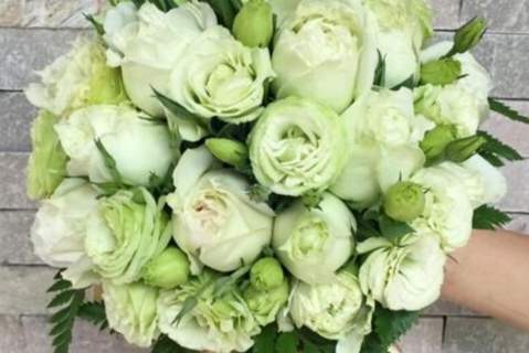 洋桔梗花語綠色