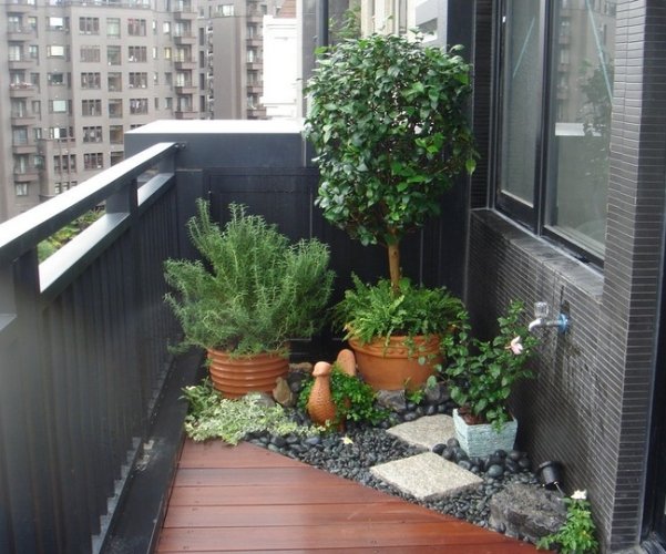 陽光植物照顧 陽光植物照顧