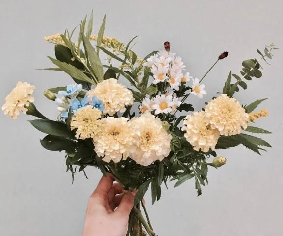 送花給閨蜜 送花給閨蜜