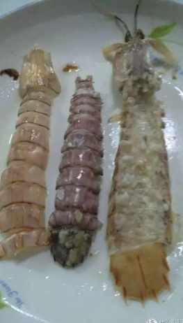 蝦蛄與蝦的區別