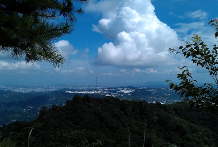 林榮新光旅遊 林榮新光旅遊
