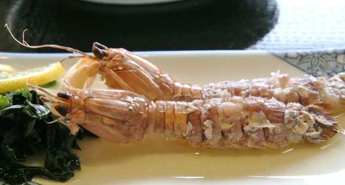 蝦蛄食譜 蝦蛄食譜