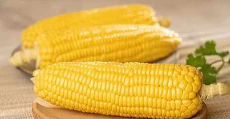 玉米種類 玉米種類