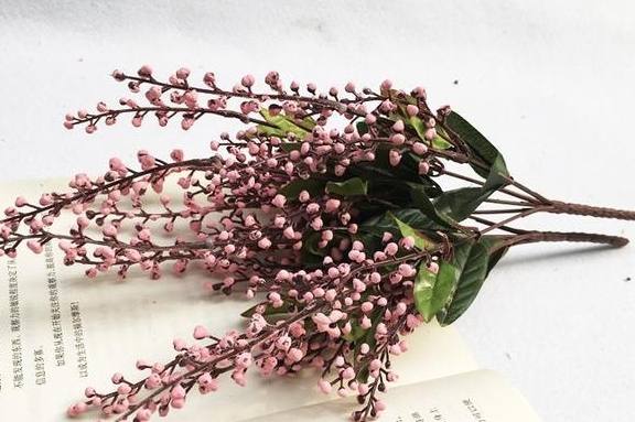 思念植物種類 思念植物種類