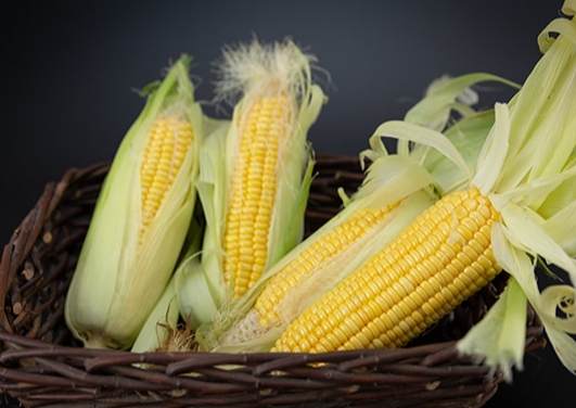 粟米是什麼 粟米是什麼