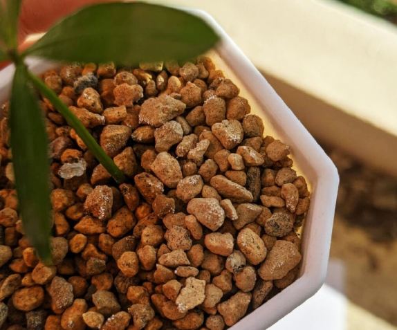 植物土壤問題 植物土壤問題