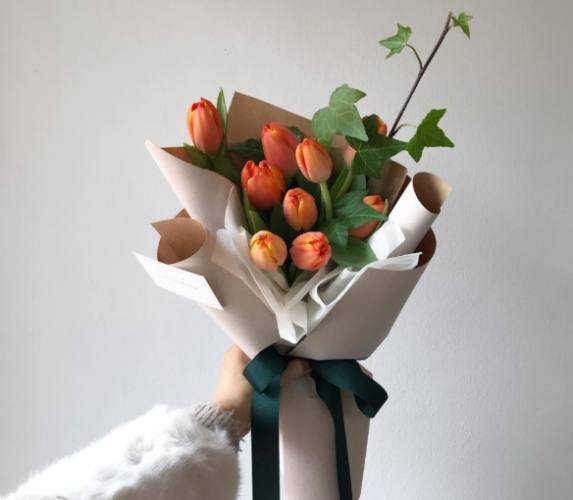 花語含義 花語含義