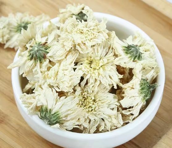 白菊花泡茶方法