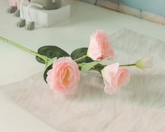 花語思念 花語思念