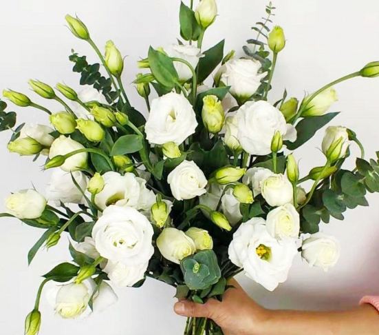 花束包裝教學 花束包裝教學