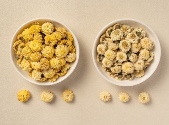 白菊黃菊差別 白菊黃菊差別