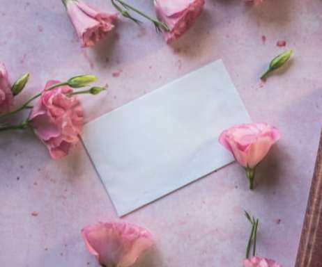 粉紅桔梗花象徵