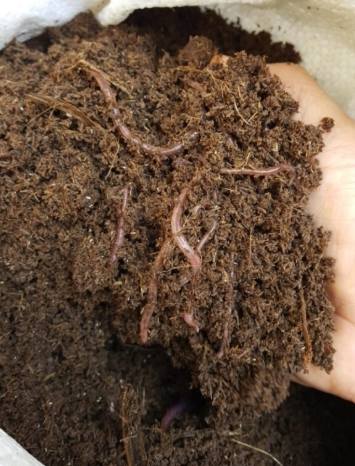 有機肥製作方法