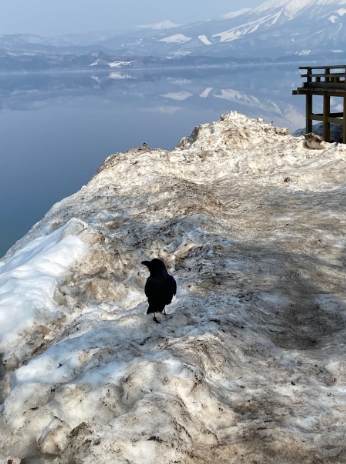 日本東北旅遊指南
