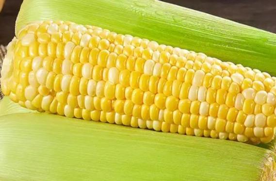 玉米應用 玉米應用