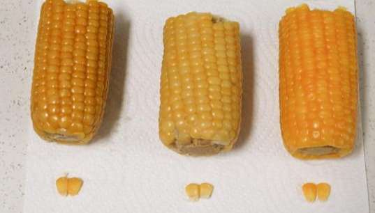 玉米和粟米差別 玉米和粟米差別