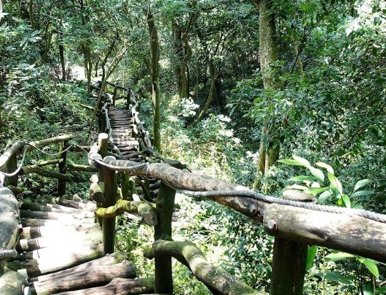 大坑步道推薦 大坑步道推薦