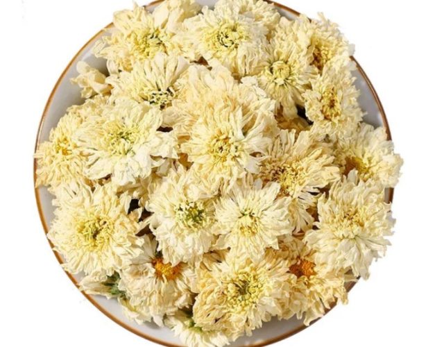 白菊花泡茶方法