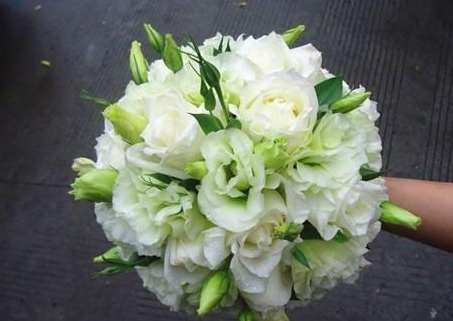 洋桔梗花語 洋桔梗花語