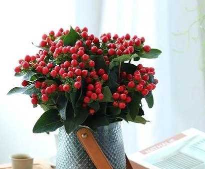 象徵思念的花 象徵思念的花