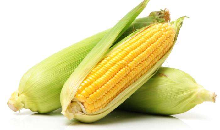 粟米是什麼 粟米是什麼