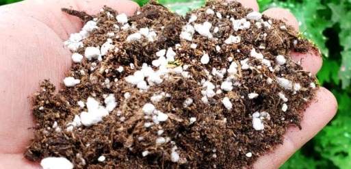 肥料發霉預防 肥料發霉預防