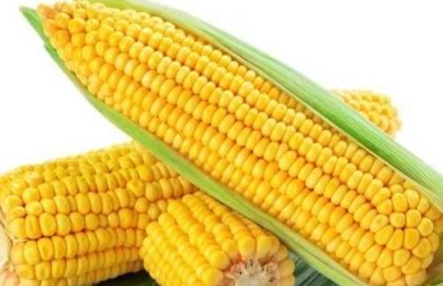 玉米好處 玉米好處