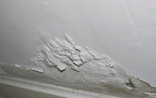 水性防霉劑使用步驟