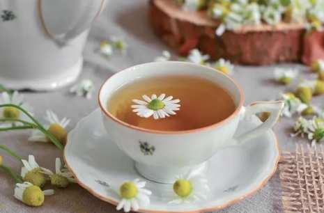 菊花茶每日饮用量 菊花茶每日饮用量