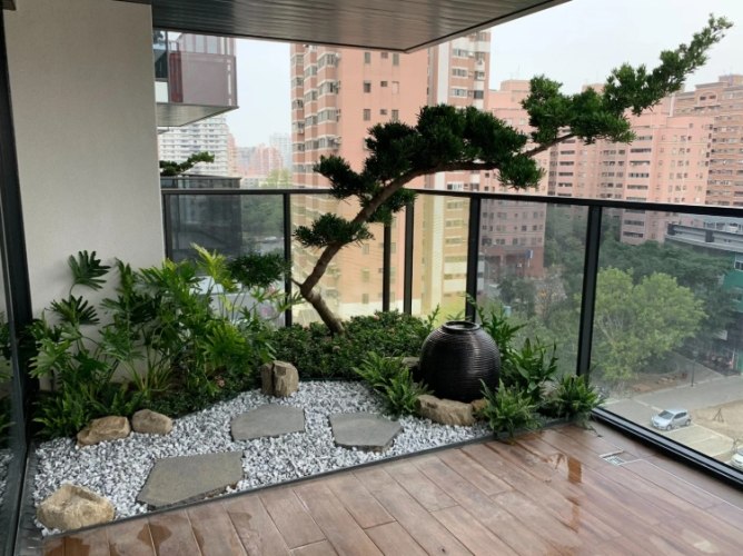 室内植物种植