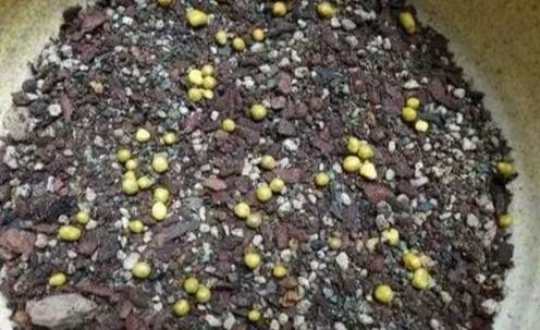 緩釋肥發霉處理 緩釋肥發霉處理