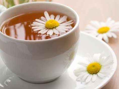 菊花茶过量副作用 菊花茶过量副作用