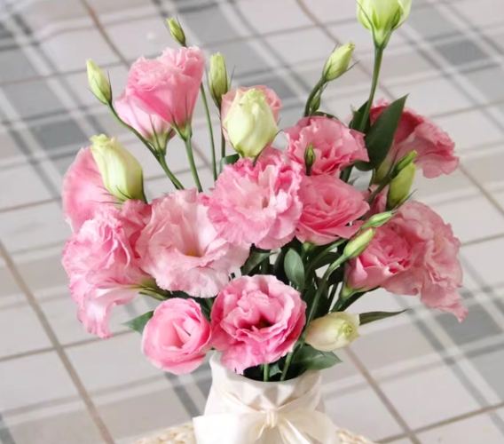 洋桔梗保養 洋桔梗保養