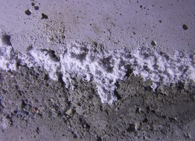 土壤鹽鹼化 土壤鹽鹼化