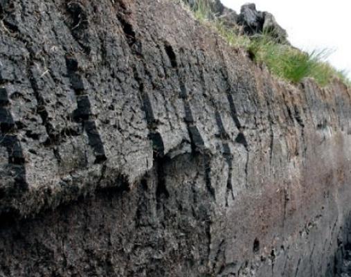 泥炭土配方 泥炭土配方