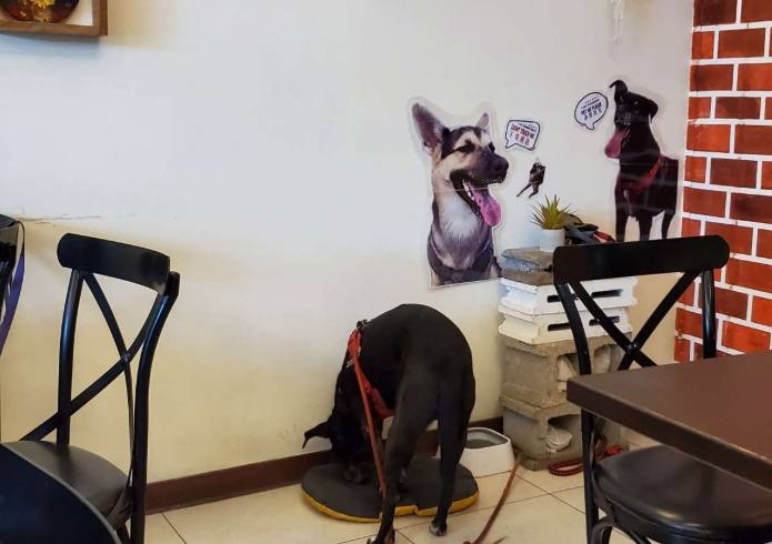 異國料理自助餐 異國料理自助餐