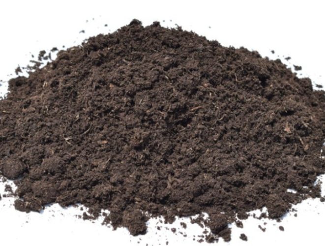 水耕栽培 水耕栽培