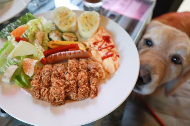 安平帶狗吃飯