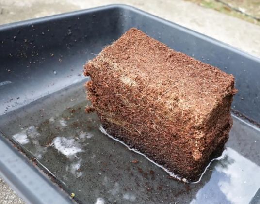 水耕栽培 水耕栽培