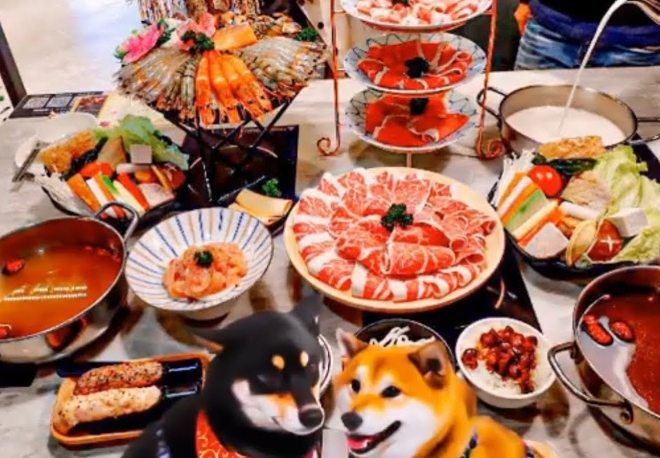 帶狗晚餐台南 帶狗晚餐台南