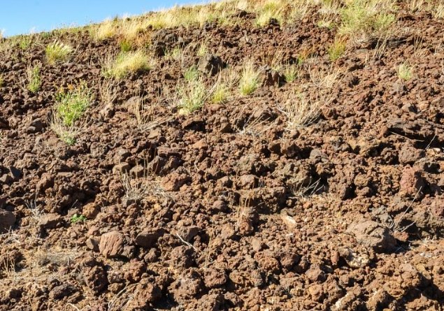 水耕栽培 水耕栽培