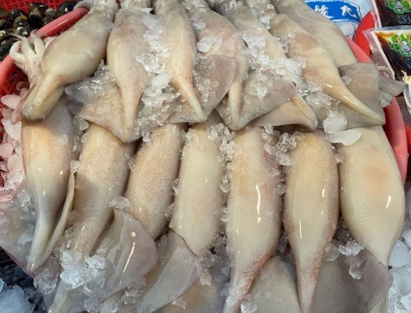 炸魷魚推薦 炸魷魚推薦