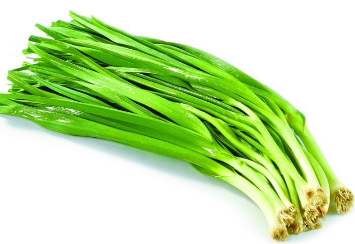 小蒜苗種植 小蒜苗種植