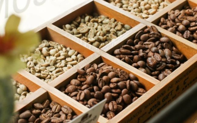 Bird of Paradise咖啡豆評價 Bird of Paradise咖啡豆評價